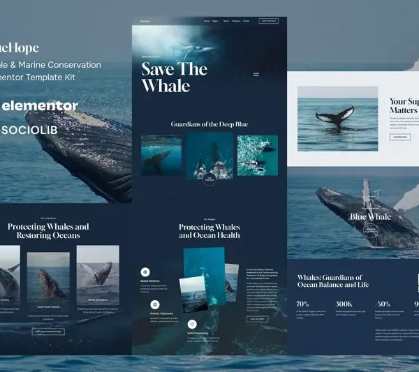 Tải BlueHope - Whale & Marine Conservation Elementor Template Kit mới nhất