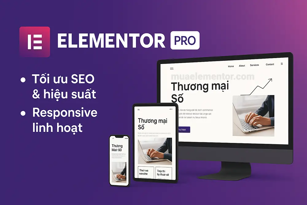 Elementor Pro tối ưu hiệu suất