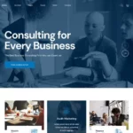 Mua Conult - Consulting Business WordPress Themes giá rẻ