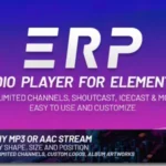 Mua Erplayer - Radio Player for Elementor supporting Icecast, Shoutcast and more giá rẻ