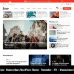Mua Evior - Modern Magazine WordPress Theme giá rẻ