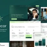 Mua Execor – Accounting and Management Consulting giá rẻ