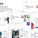 Mua Modak - One Page WordPress Theme giá rẻ