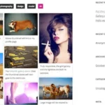 Mua Responsive Pinterest Grid Gallery WordPress Plugin giá rẻ