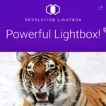 Mua Revolution Lightbox Wordpress & WooCommerce Plugin giá rẻ