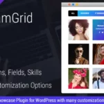 Mua Team Grid - Team Member Showcase WordPress Plugin & Team Editor giá rẻ