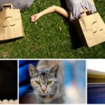 Mua Tumblr Photoset Grid/Masonry Gallery for WordPress giá rẻ