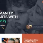 Mua Welowe - Nonprofit Charity WordPress Theme giá rẻ